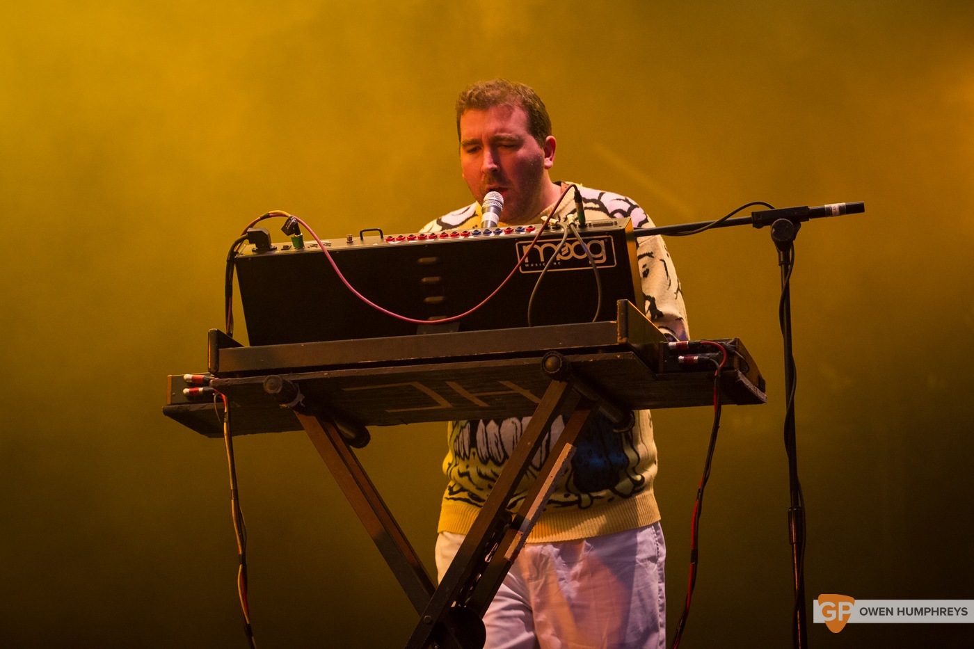 Hot Chip at Electric Picnic 2015 by Owen Humphreys (7 of 8)