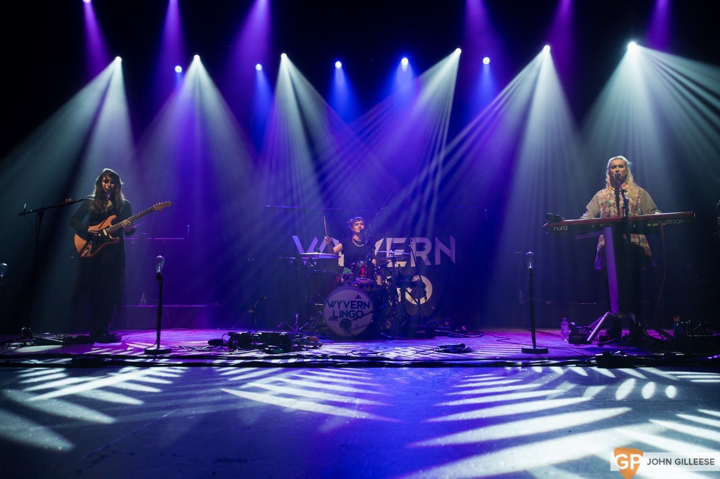 Wyvern Lingo @ Manchester Apollo by John Gilleese