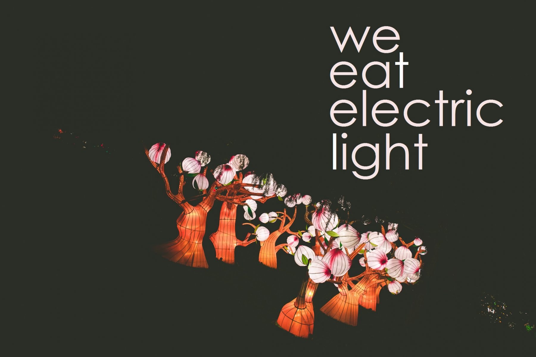 WeEatElectricLight2