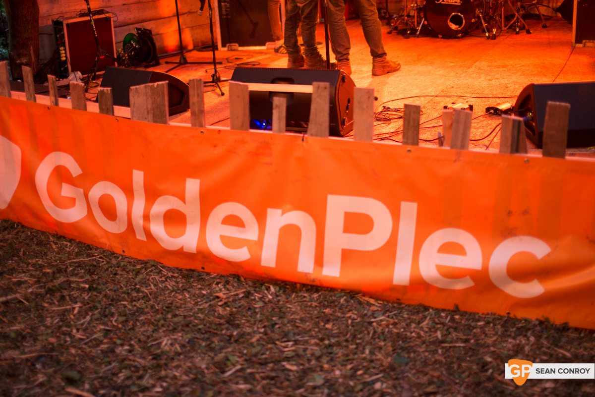 Vantastival_1_ (12 of 18)
