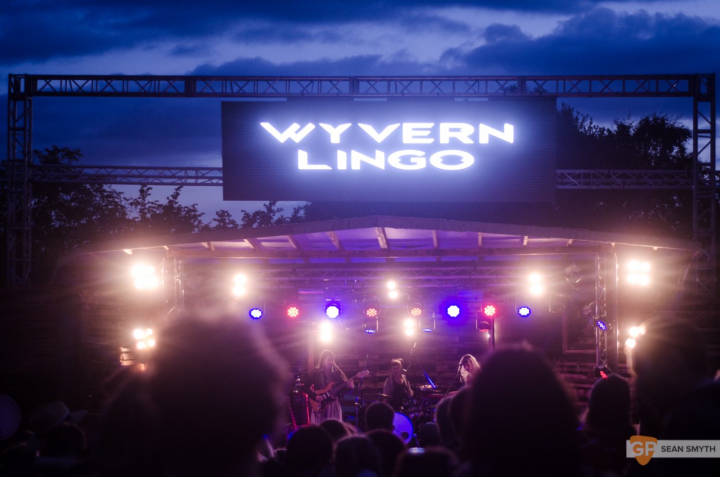 Wyvern Lingo at Knockanstockan by Sean Smyth (23-7-16) (1 of 3)