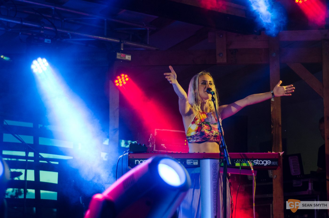 Wyvern Lingo at Knockanstockan by Sean Smyth (23-7-16) (2 of 3)