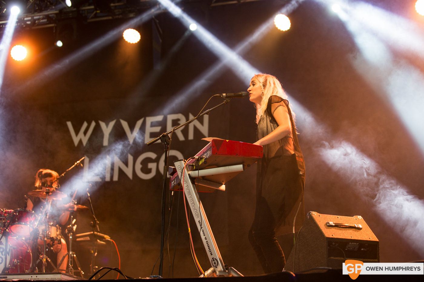 Wyvern Lingo at Electric Picnic by Owen Humphreys