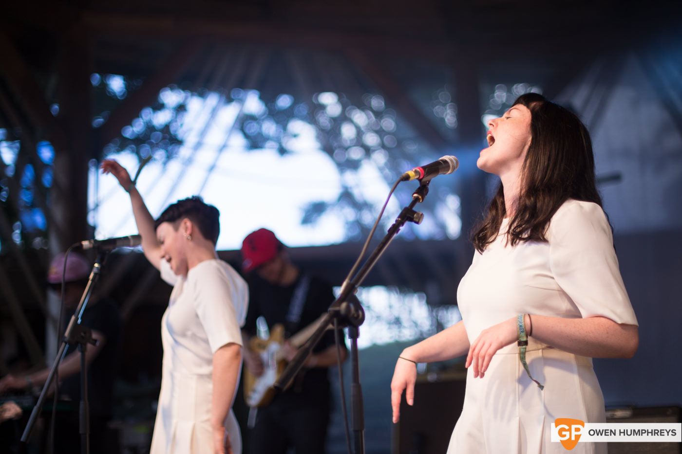 AE Mak at Electric Picnic by Owen Humphreys