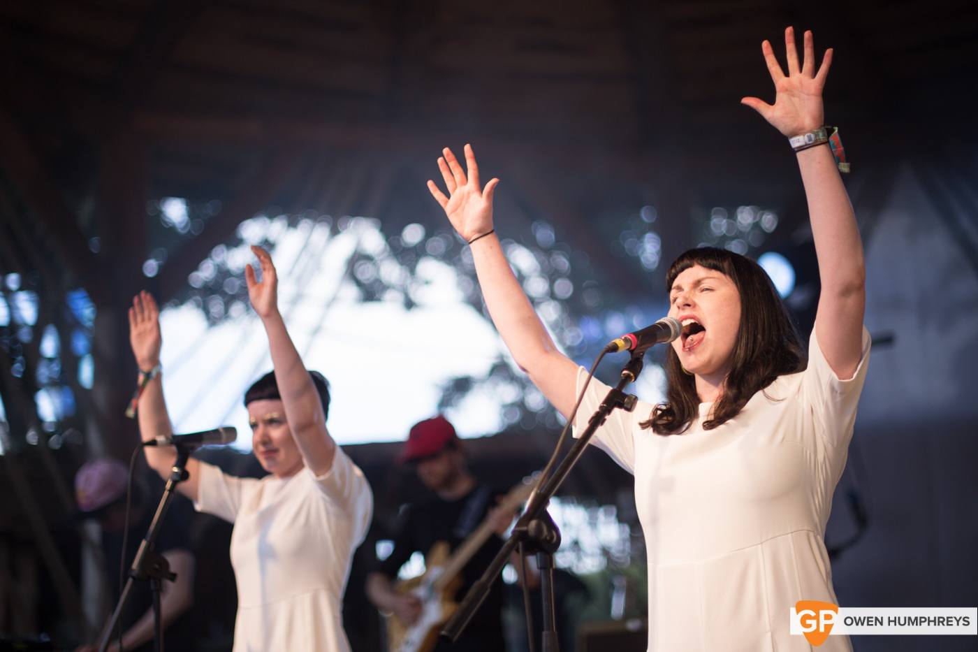 AE Mak at Electric Picnic by Owen Humphreys