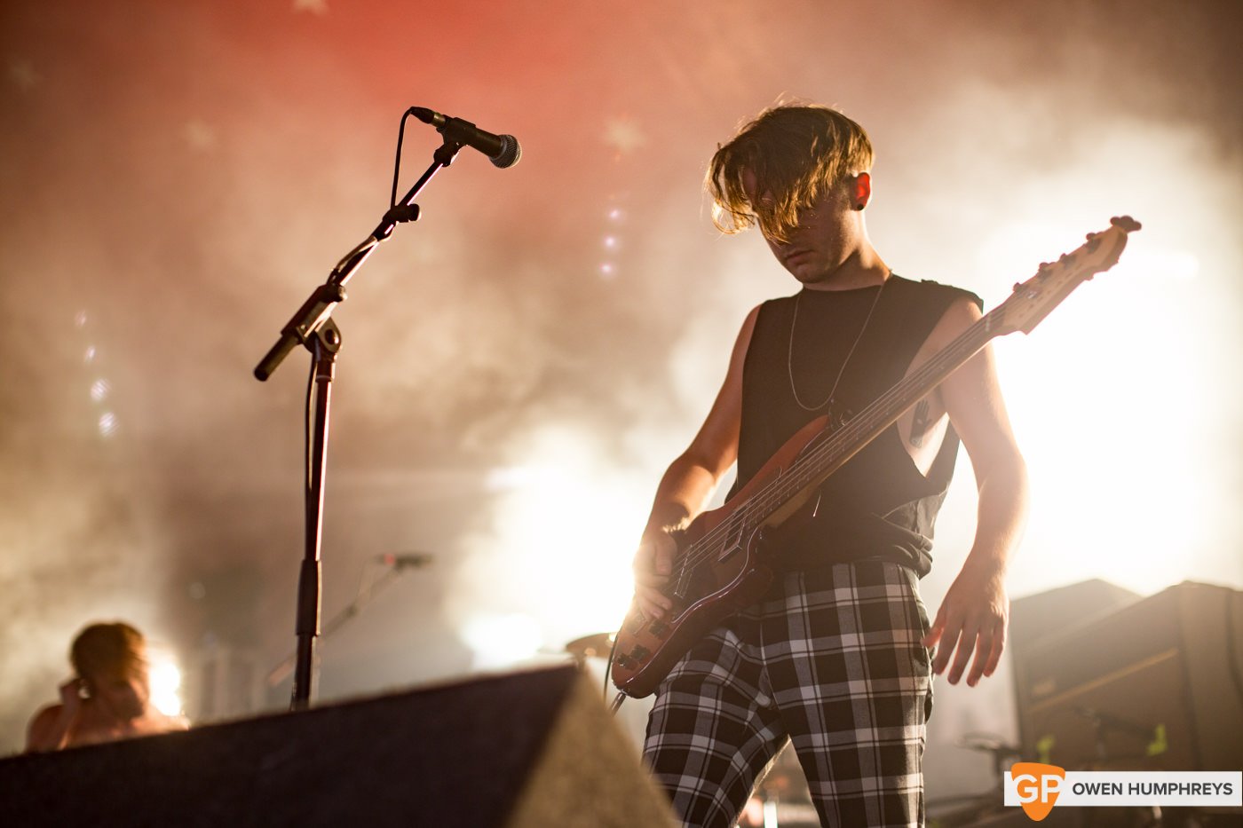 Otherkin at Electric Picnic by Owen Humphreys