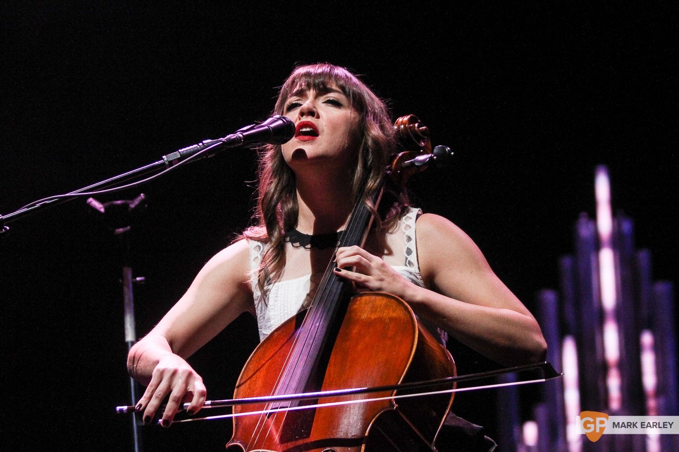 The Lumineers by Mark Earley for GoldenPlec
