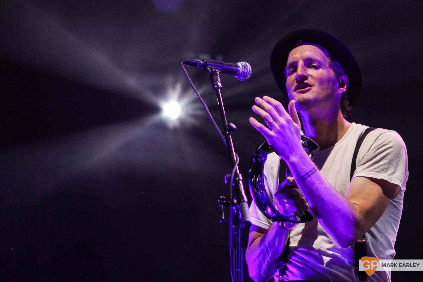 The Lumineers by Mark Earley for GoldenPlec