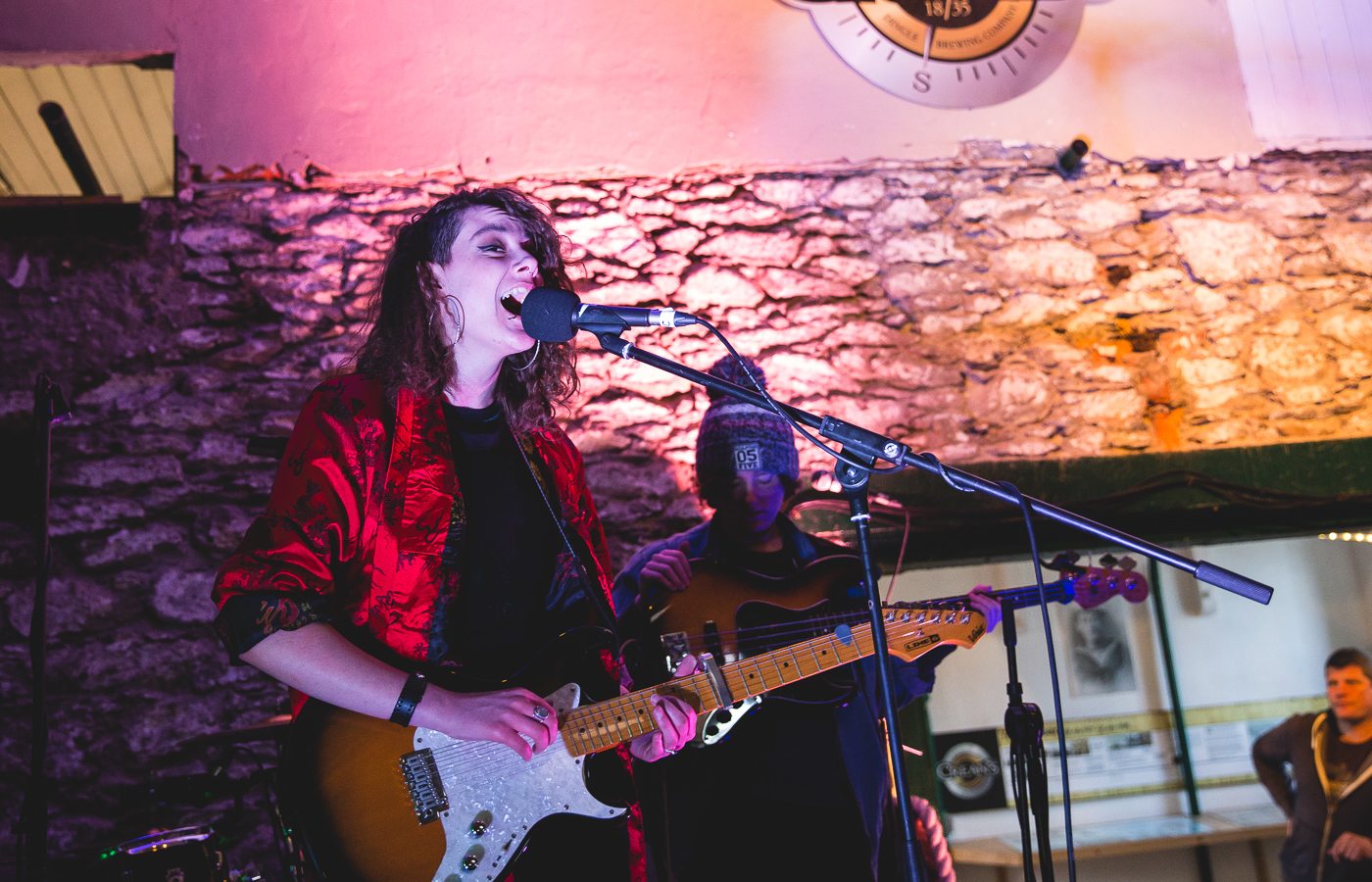 Jealous of the Birds _ Other Voices