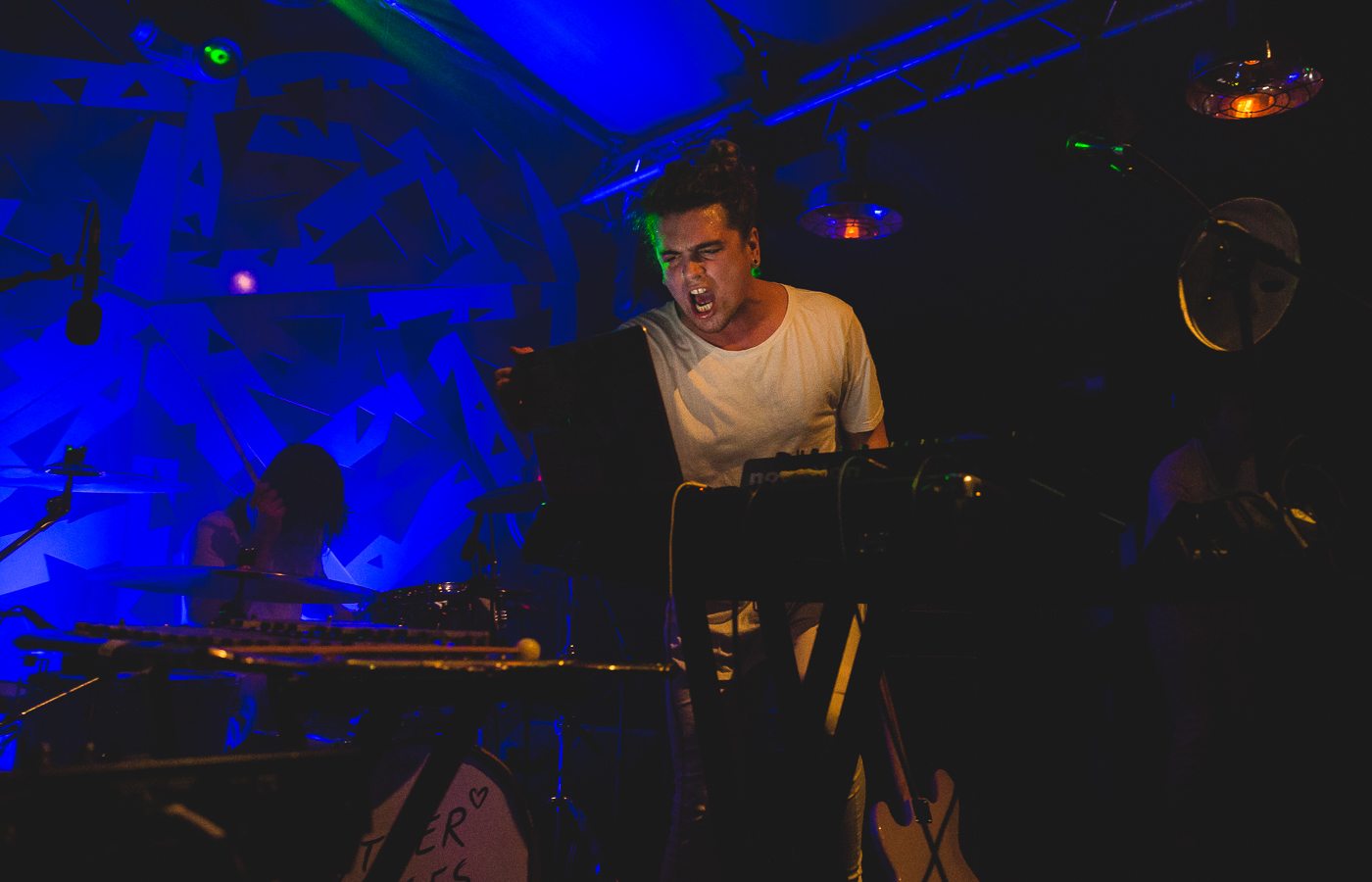 Meltybrains?_Other Voices_2016