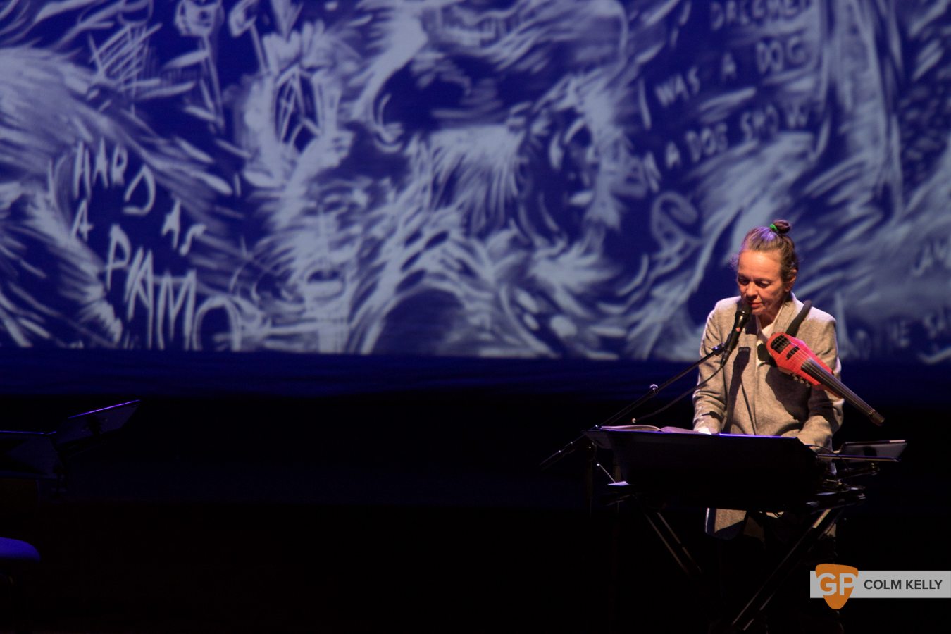 Laurie Anderson at The National Concert Hall Dublin by Colm Kelly-0046