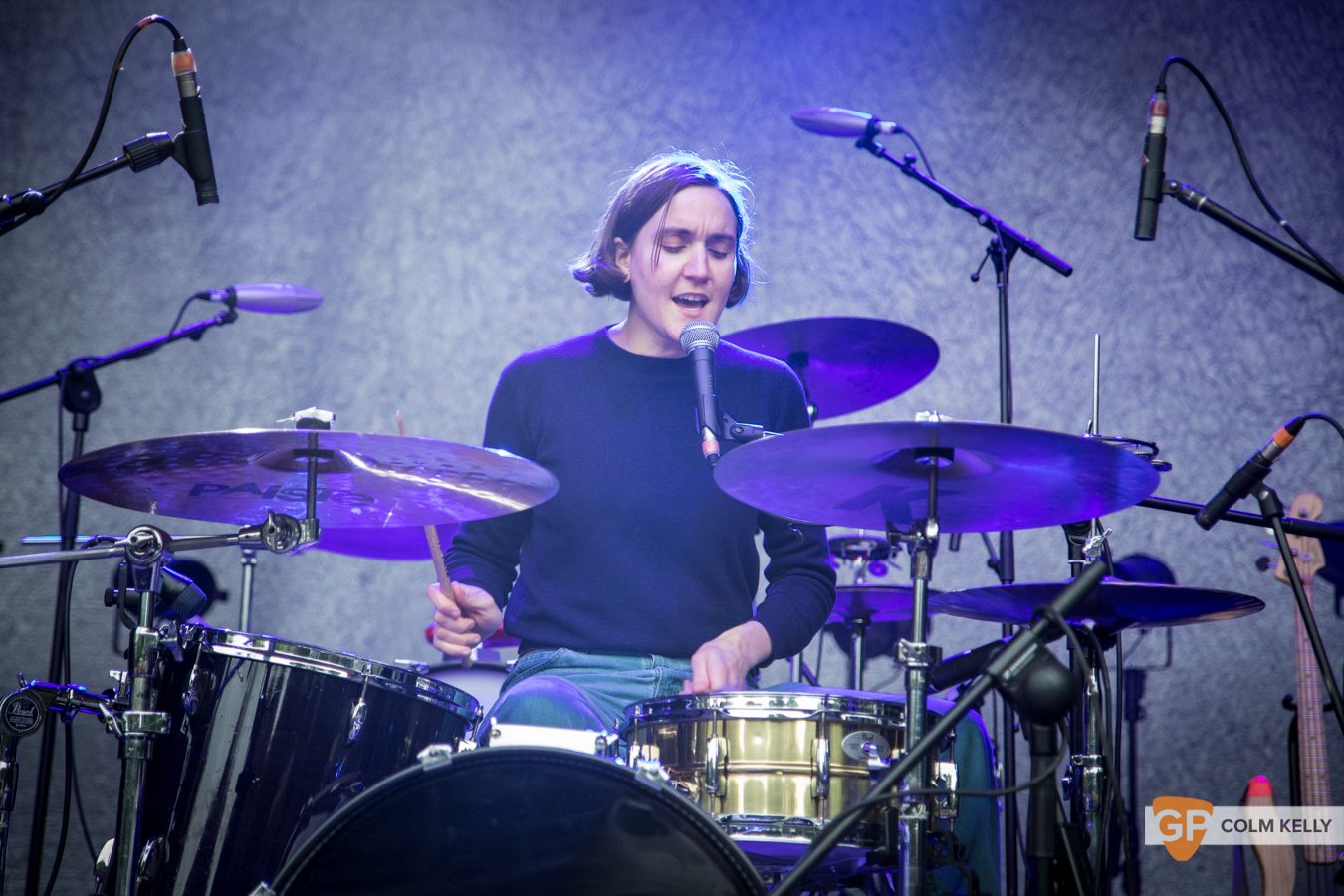 Sacred Paws at The Iveagh Gardens, Dublin July 6th 2017 by Colm Kelly