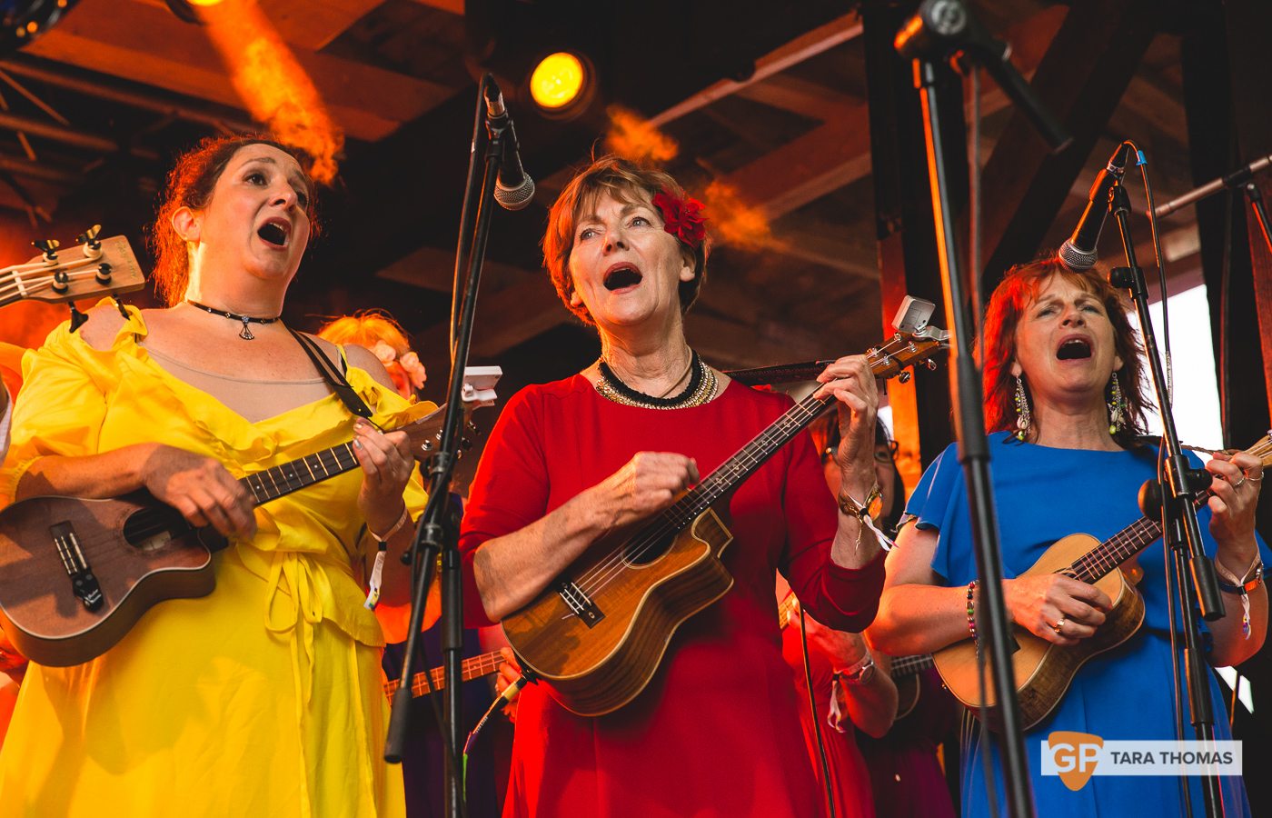 Dublin Ukele Band_Castlepalooza_2017