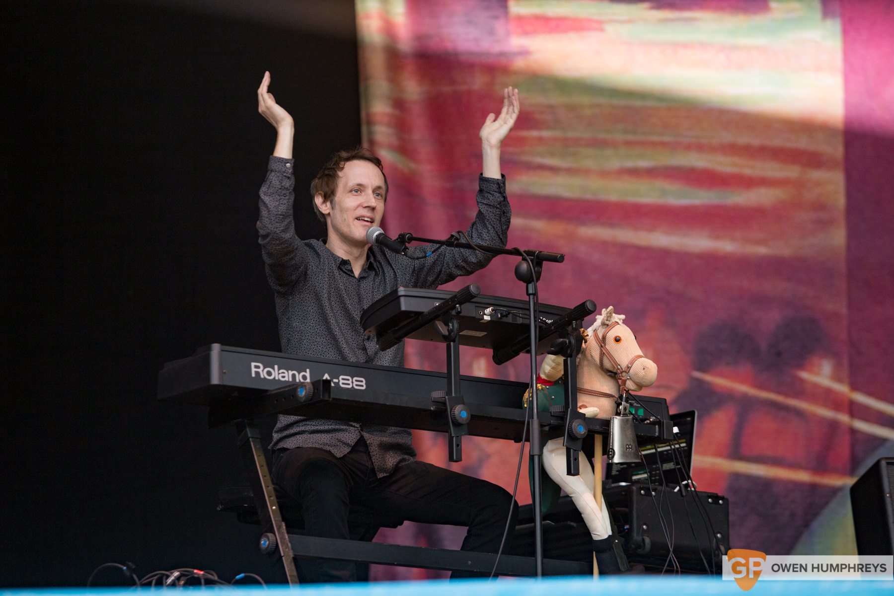 Divine Comedy live at Electric Picnic