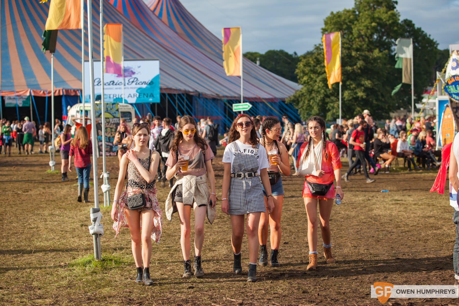 Electric Picnic