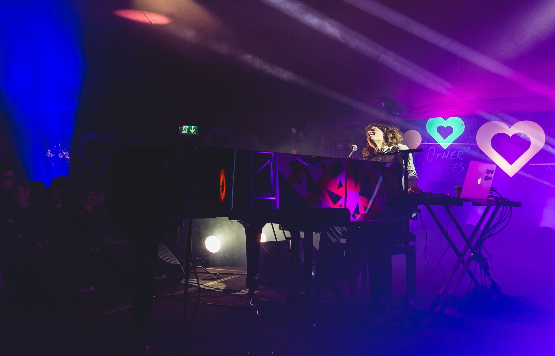 Tom Adams_Other Voices_Electric Picnic 2017