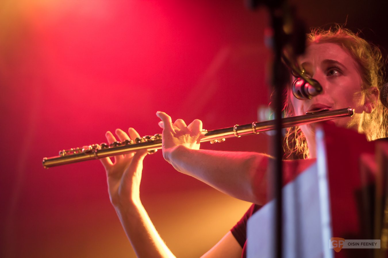 Johnny Flynn & The Sussex Wit at The Academy