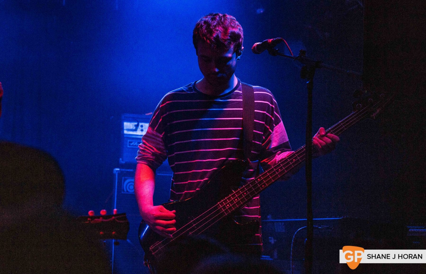 King Nun, Cyprus Avenue, Cork, Shane J Horan 6-10-18_-7