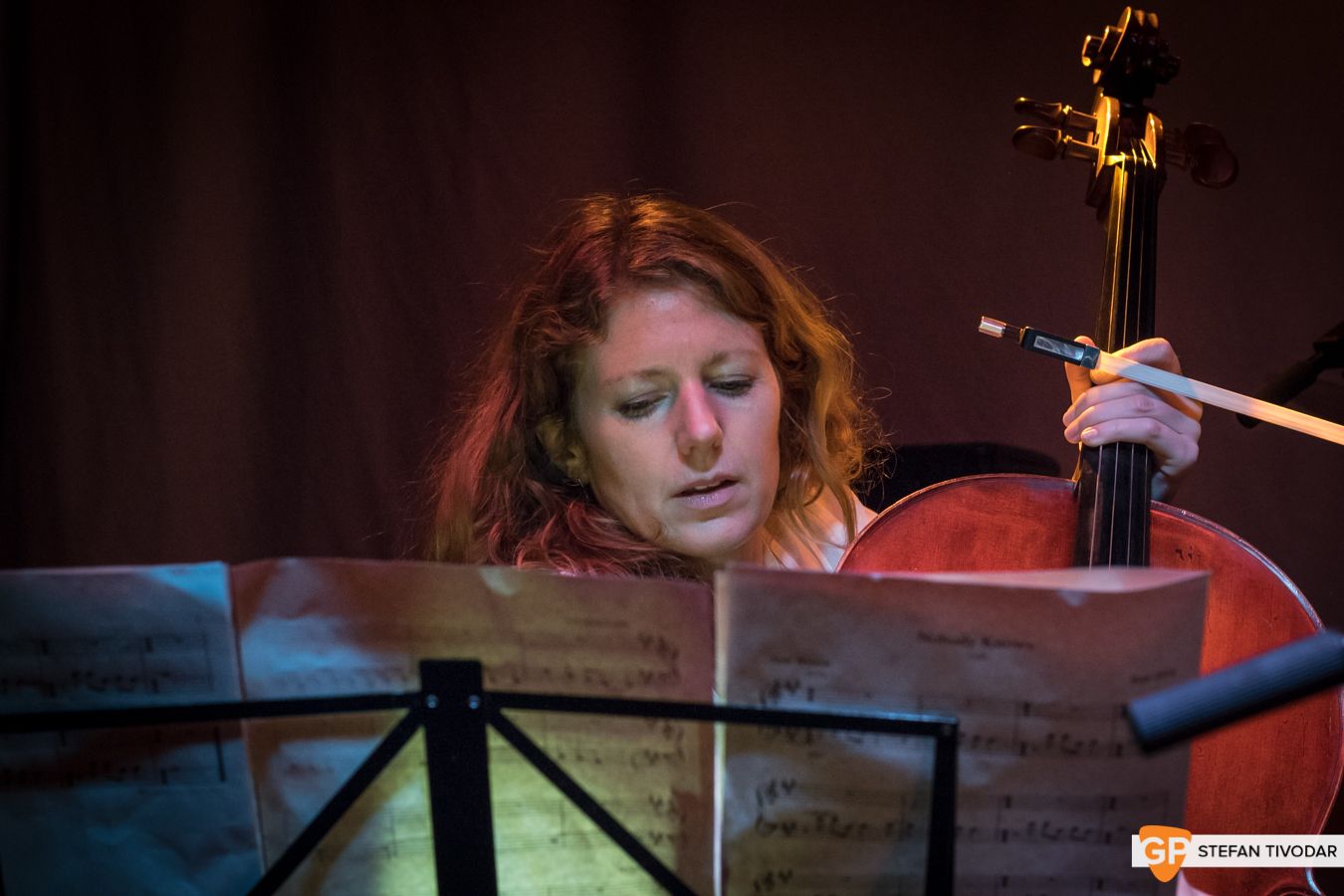 Jane Willow The Sound House November 2018 Tivodar 16