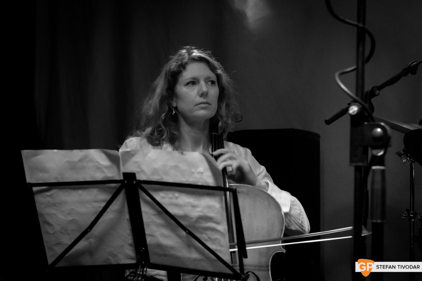 Jane Willow The Sound House November 2018 Tivodar 8