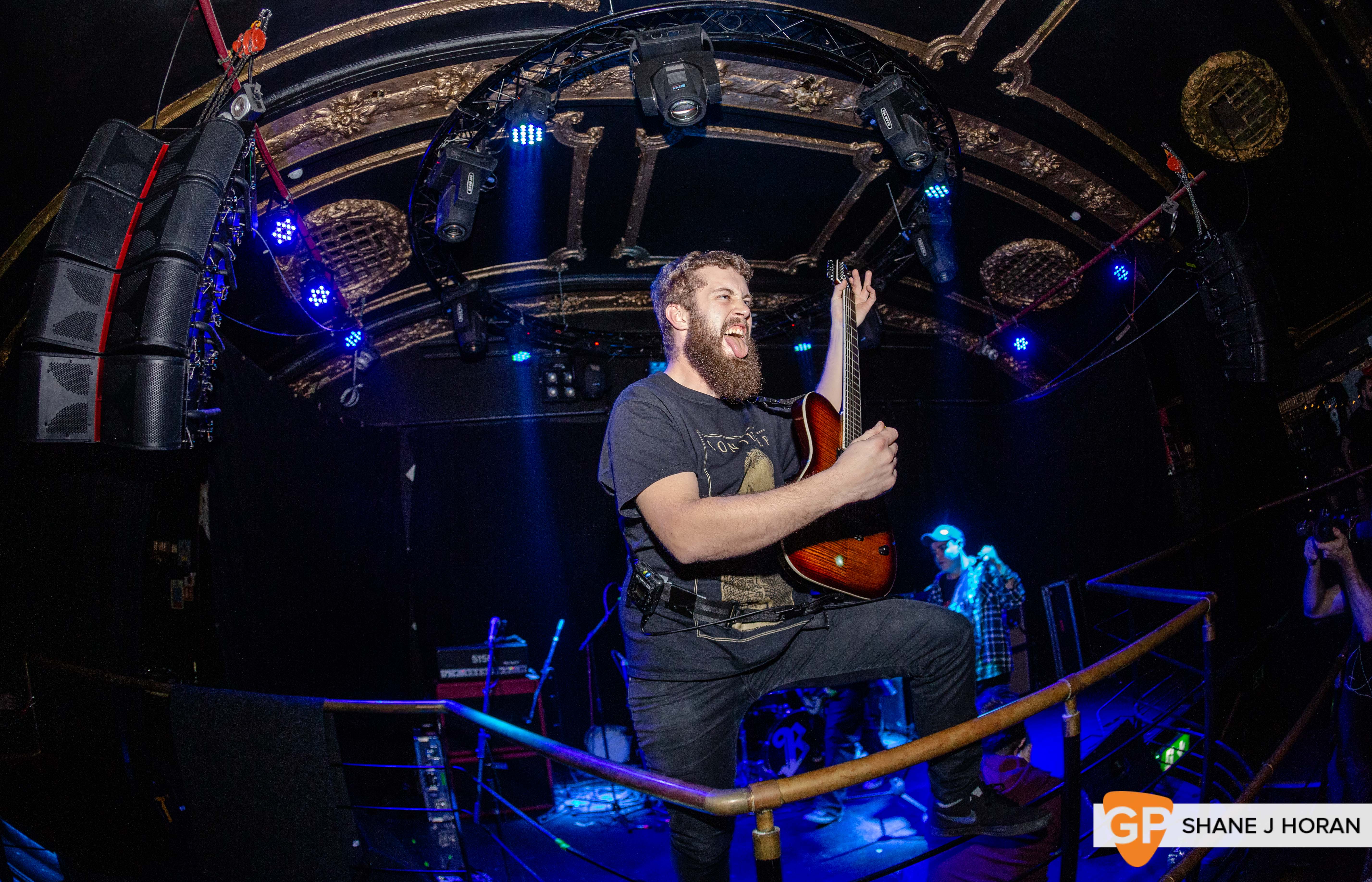 Bailer, Dali, 21-12-19 Shane J Horan-1