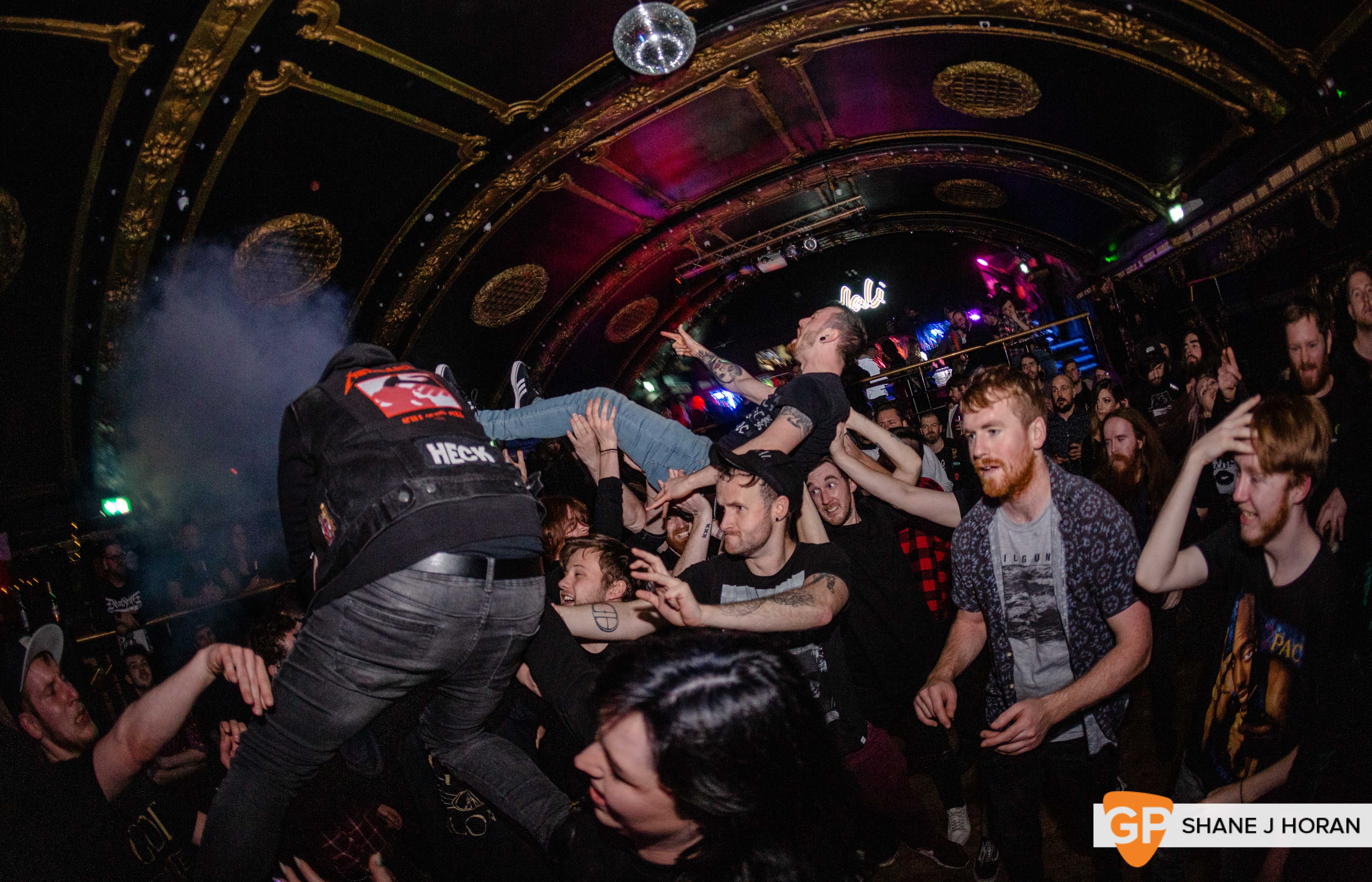 Bailer, Dali, 21-12-19 Shane J Horan-11