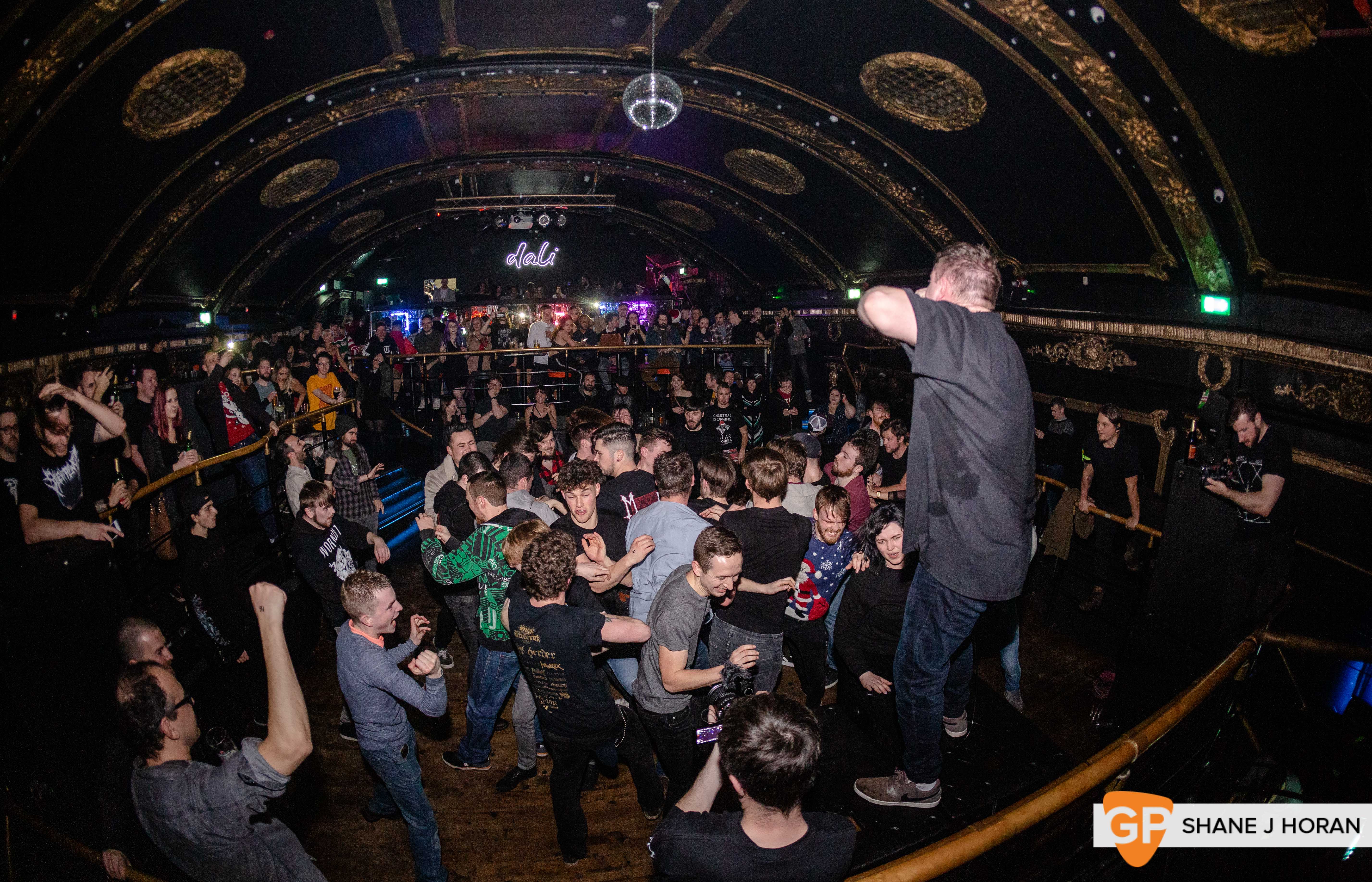 Bailer, Dali, 21-12-19 Shane J Horan-15