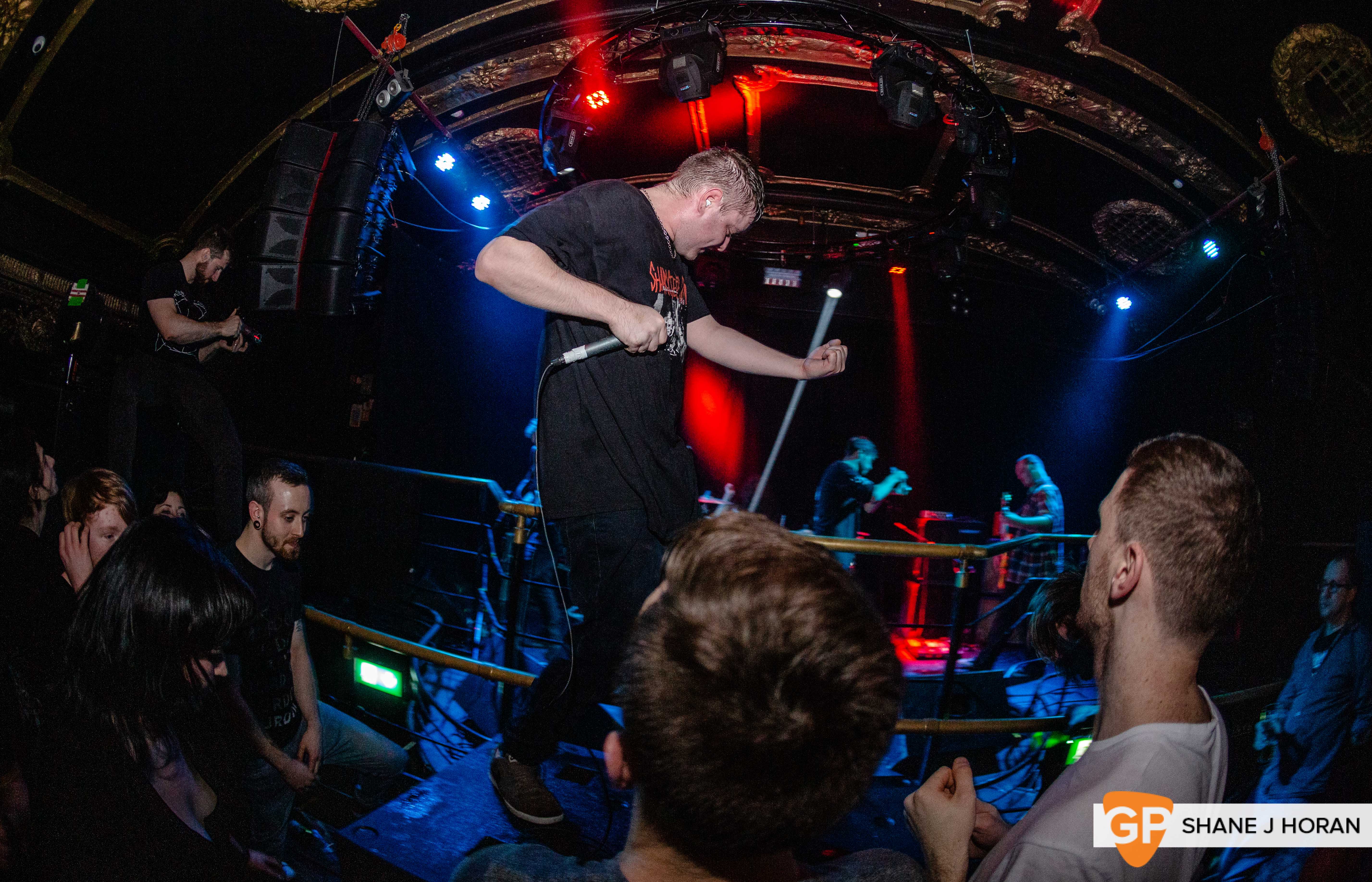 Bailer, Dali, 21-12-19 Shane J Horan-17