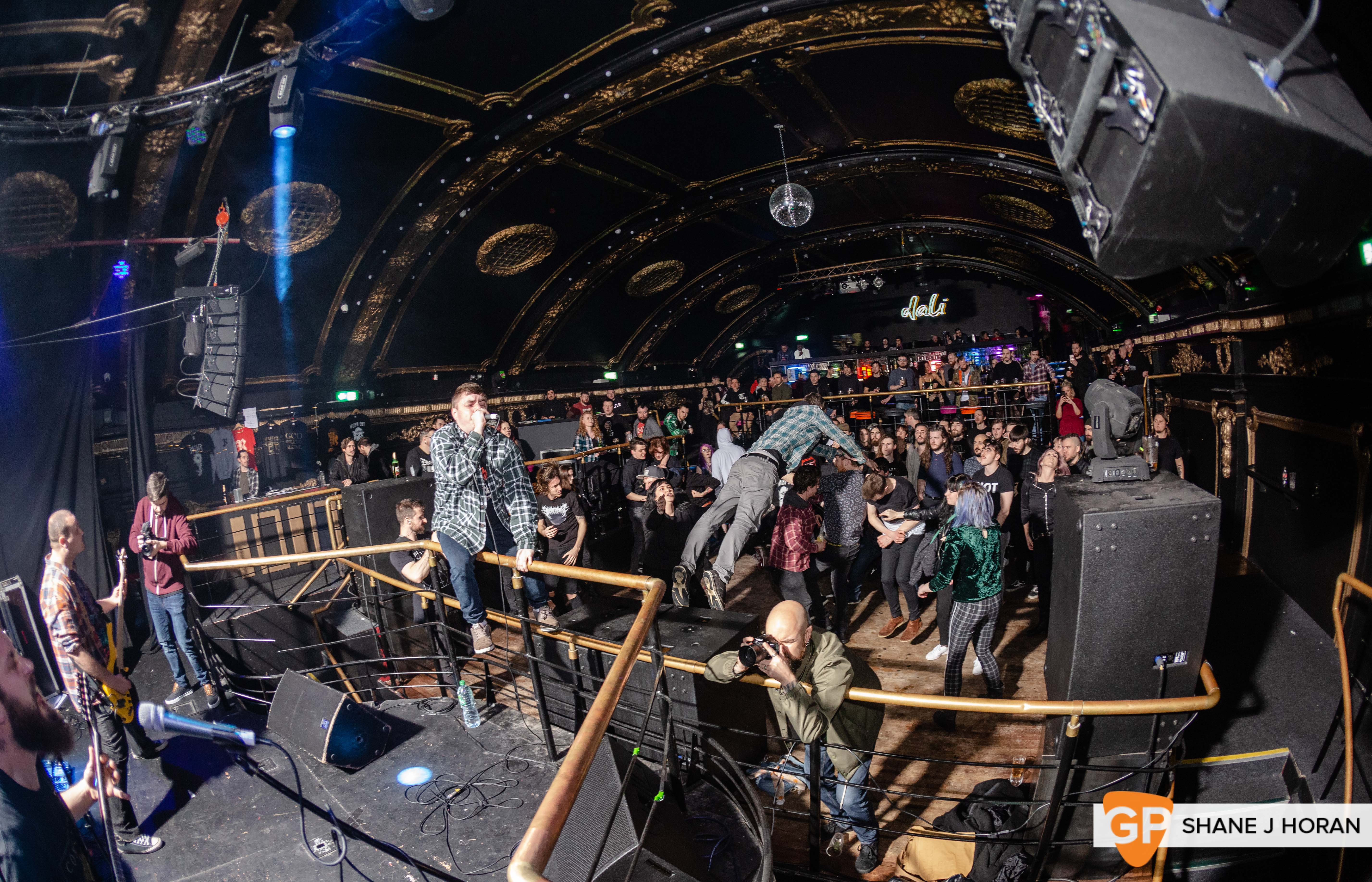 Bailer, Dali, 21-12-19 Shane J Horan-5