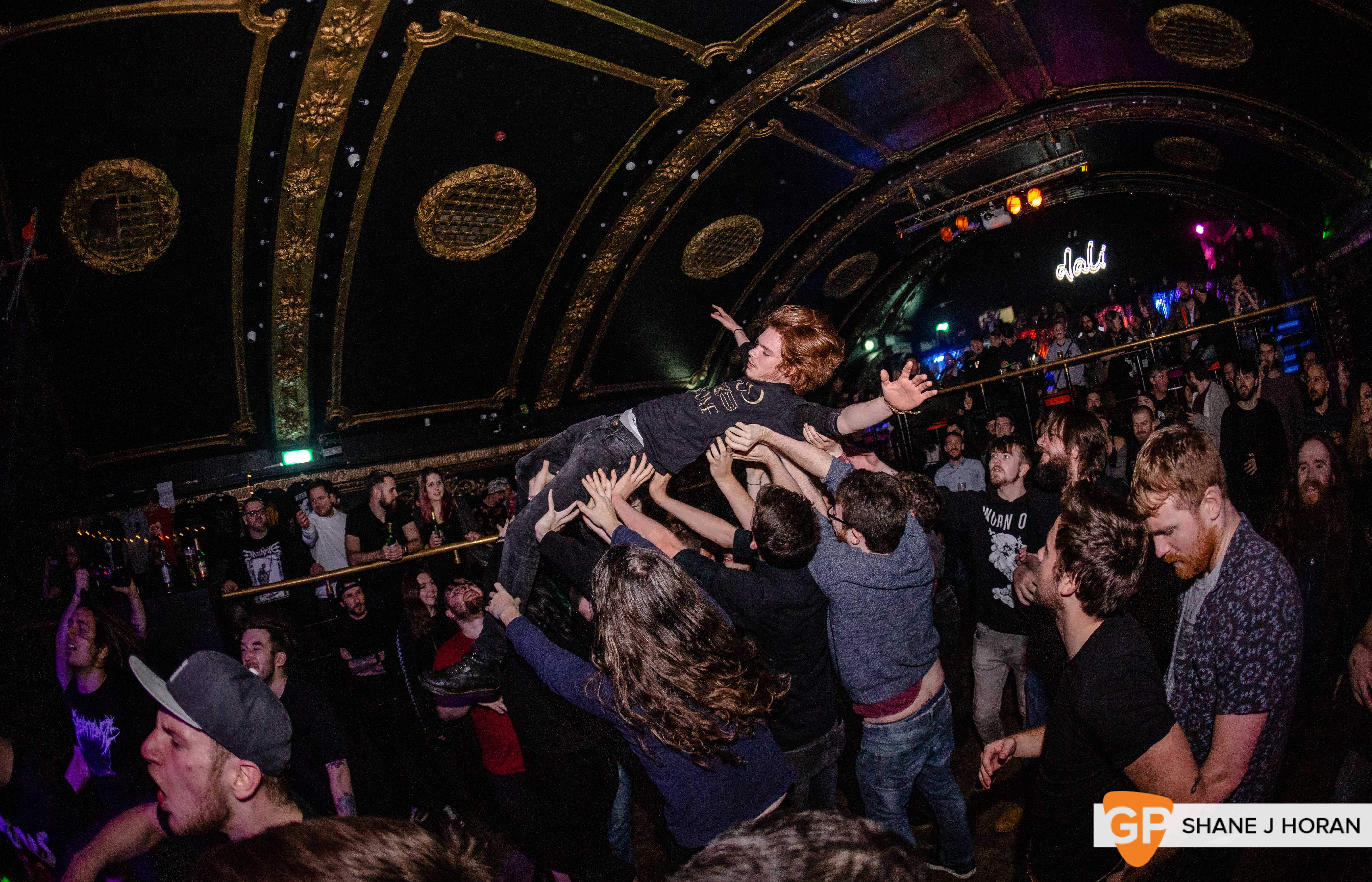 Bailer, Dali, 21-12-19 Shane J Horan-8