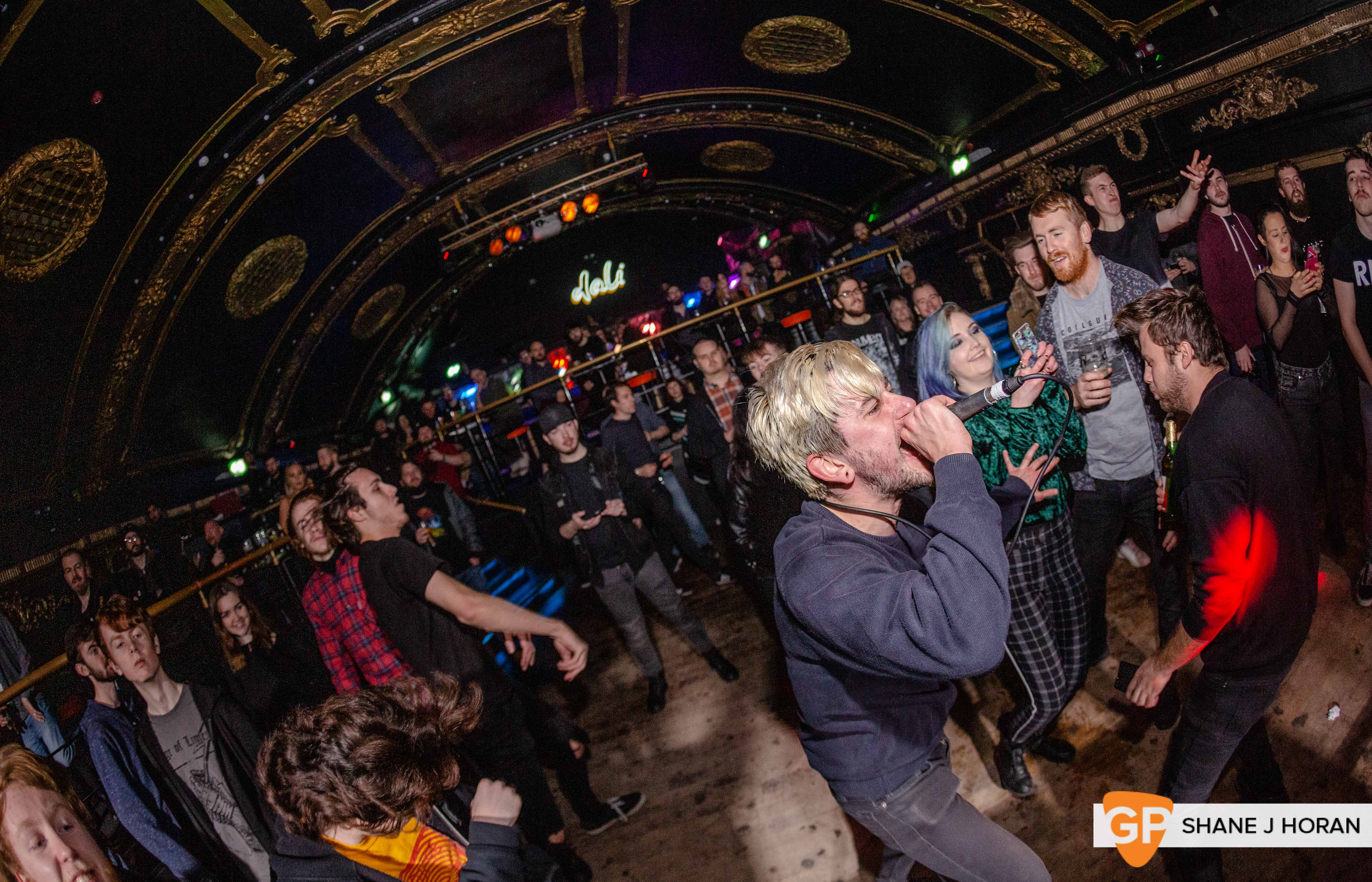 Worn Out, 21-12-19, Dali, Shane J Horan-10