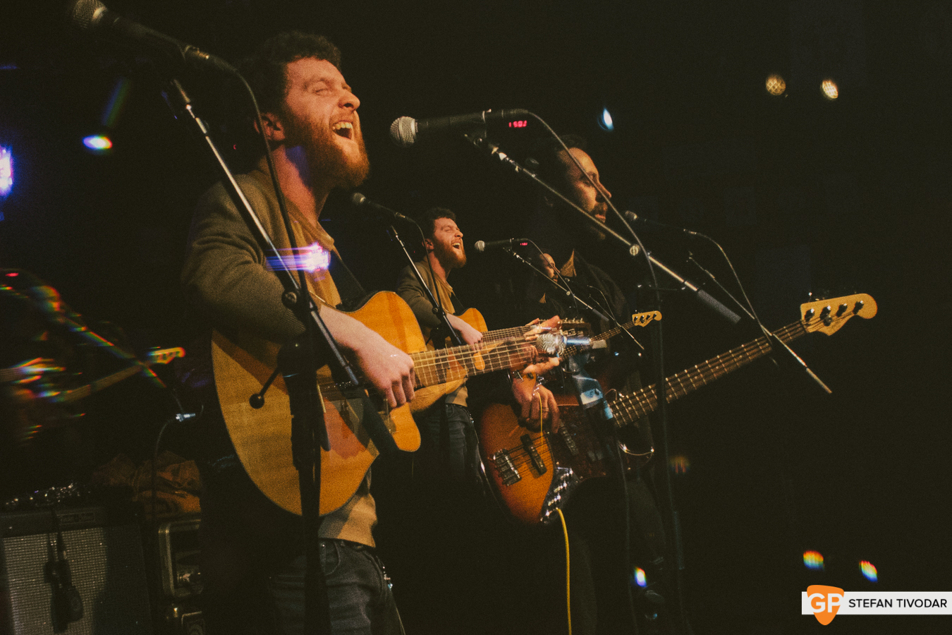 Hatchlings Ones to Watch January 2019 Whelans Tivodar 2