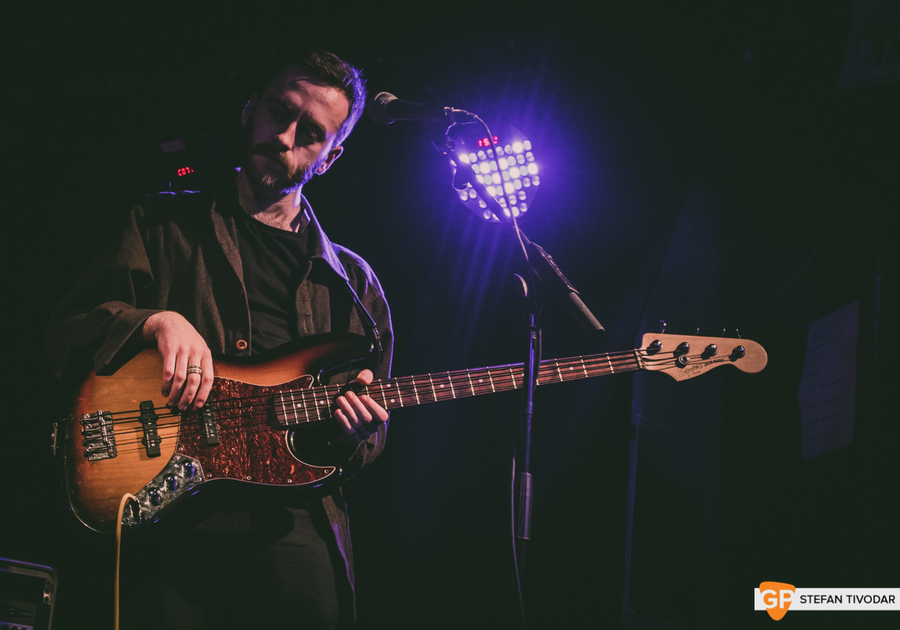 Hatchlings Ones to Watch January 2019 Whelans Tivodar 3