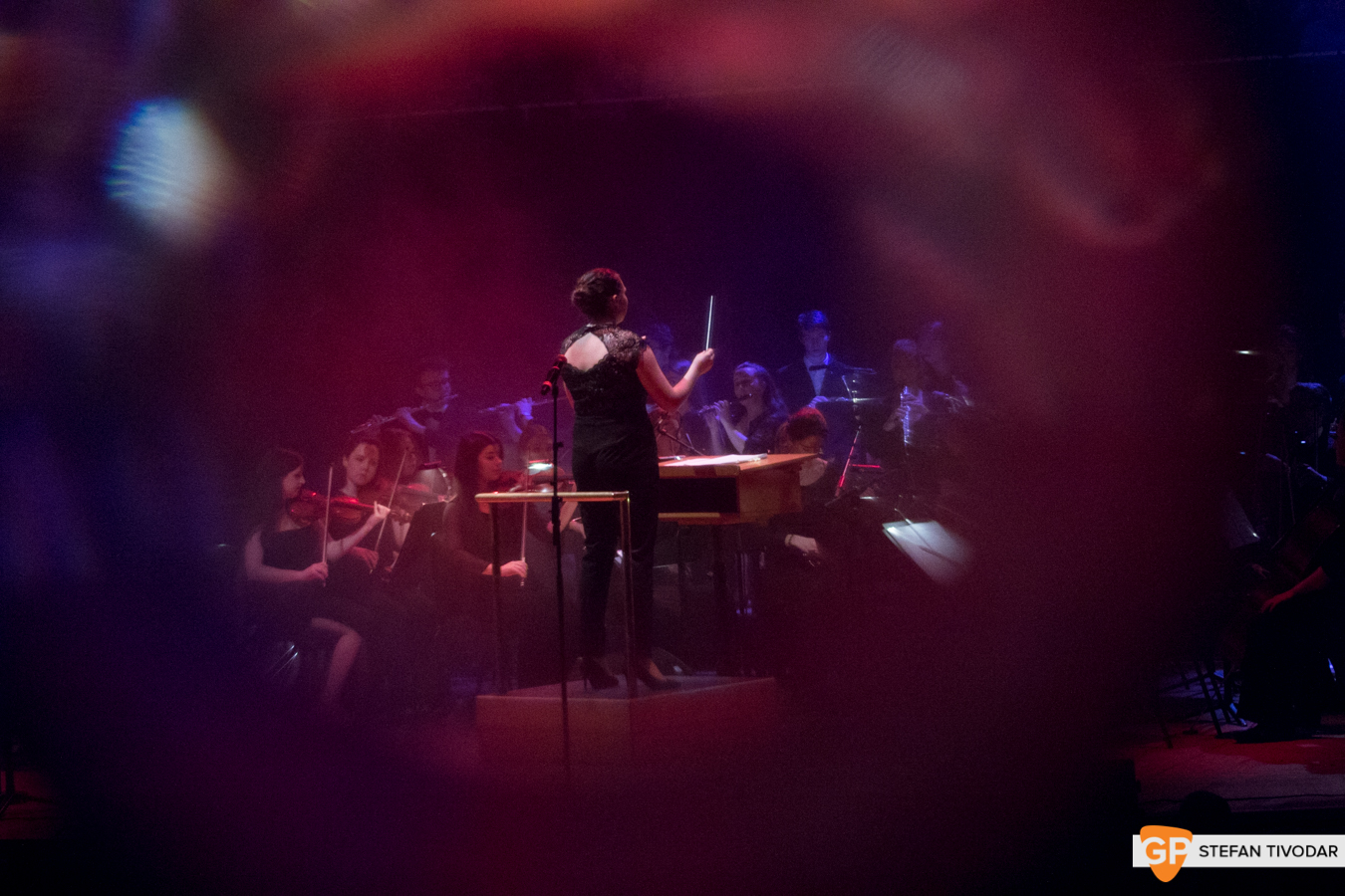 I Heart Bowie 2019 NCH Tivodar 11