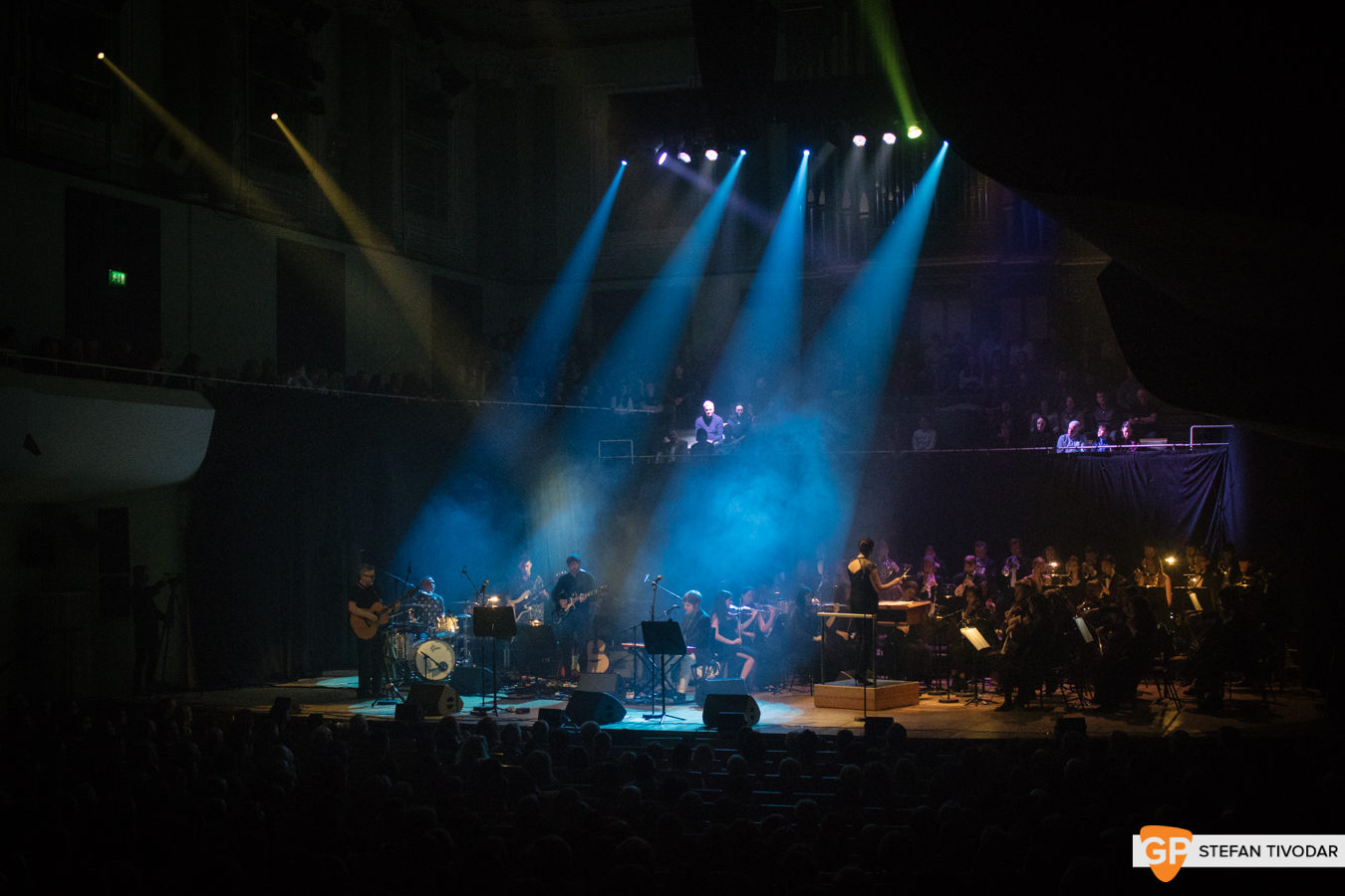 I Heart Bowie 2019 NCH Tivodar 13