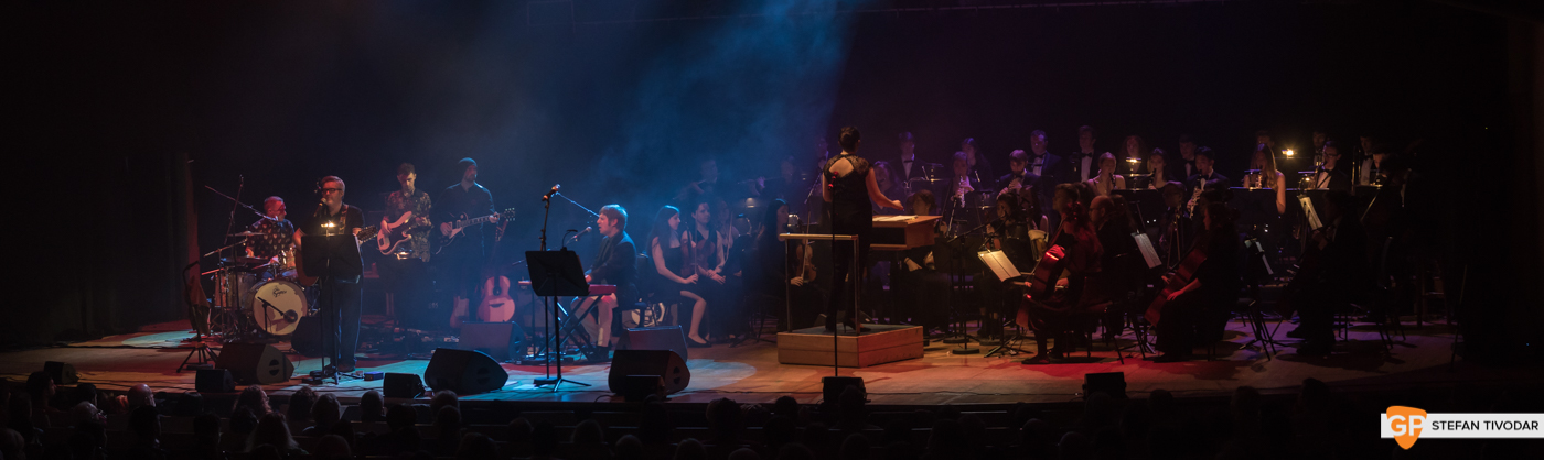 I Heart Bowie 2019 NCH Tivodar 2