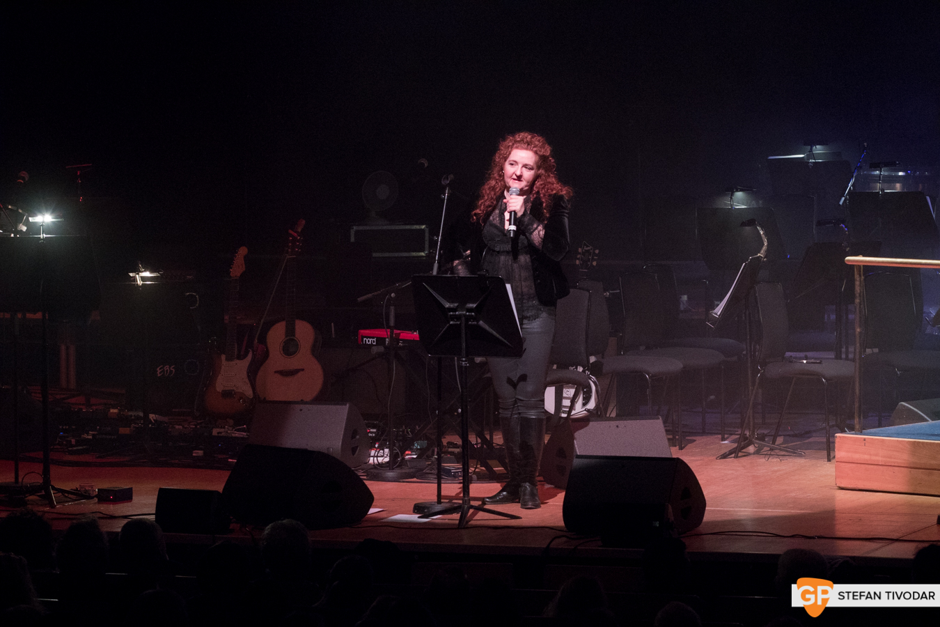 I Heart Bowie 2019 NCH Tivodar 6
