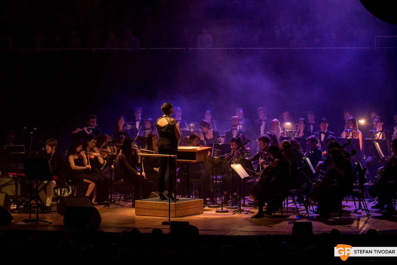 I Heart Bowie 2019 NCH Tivodar 9