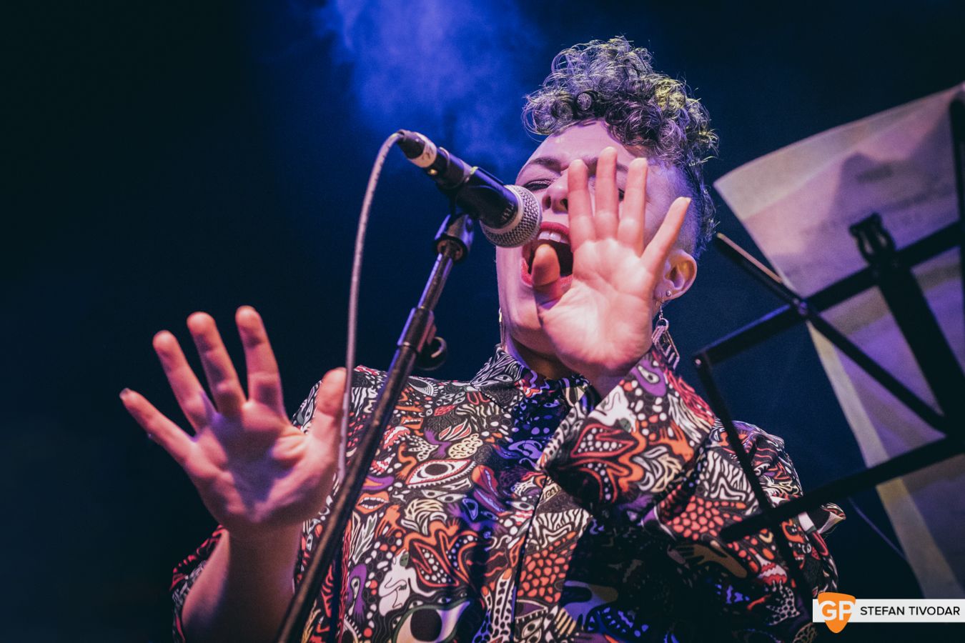 Zaska Button Factory Dublin Feb 2019 Tivodar 6