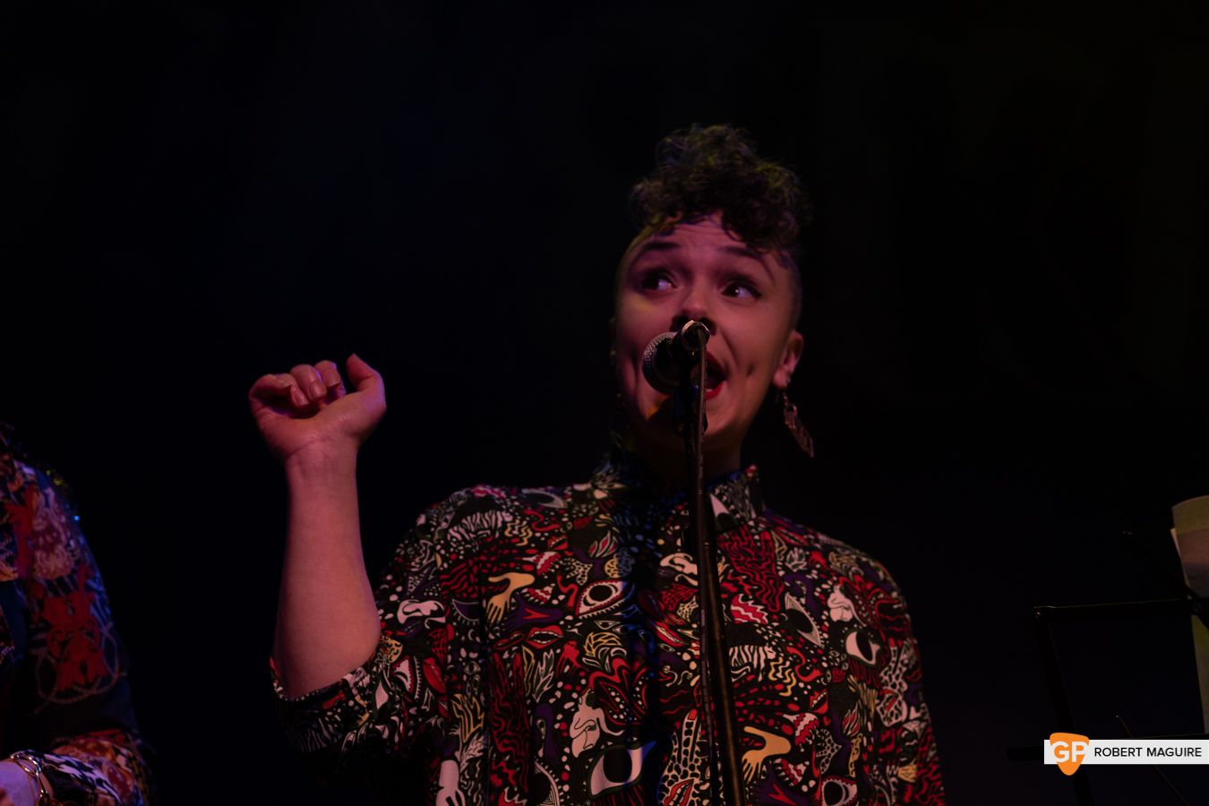 Zaska Button Factory Robert J Maguire L-20