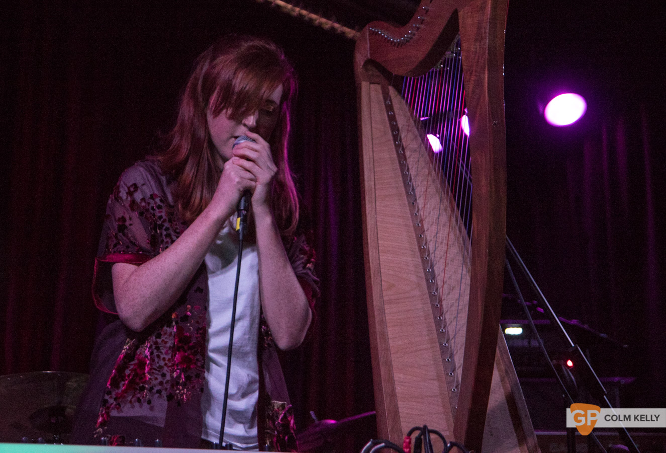 Animal Party at Lost Lane by Colm Kelly-3
