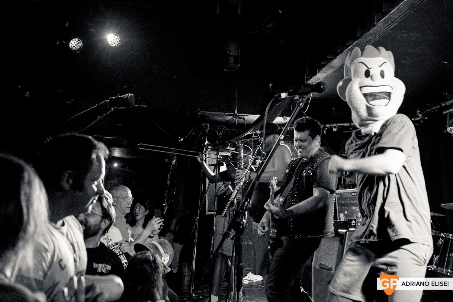 LESS THAN JAKE (24)