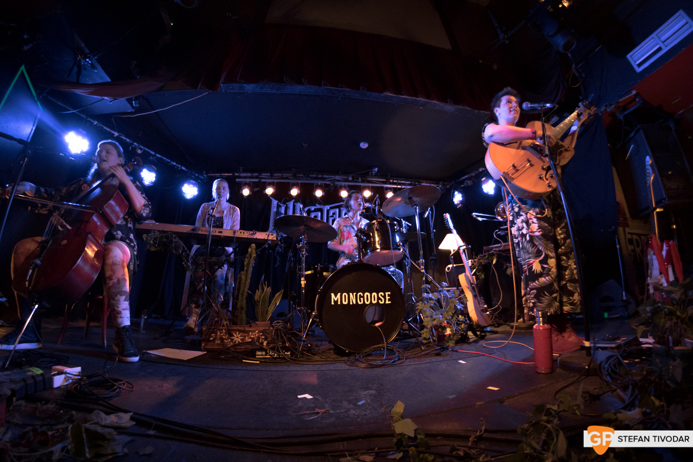 Mongoose Whelans May 2019 Tivodar 22