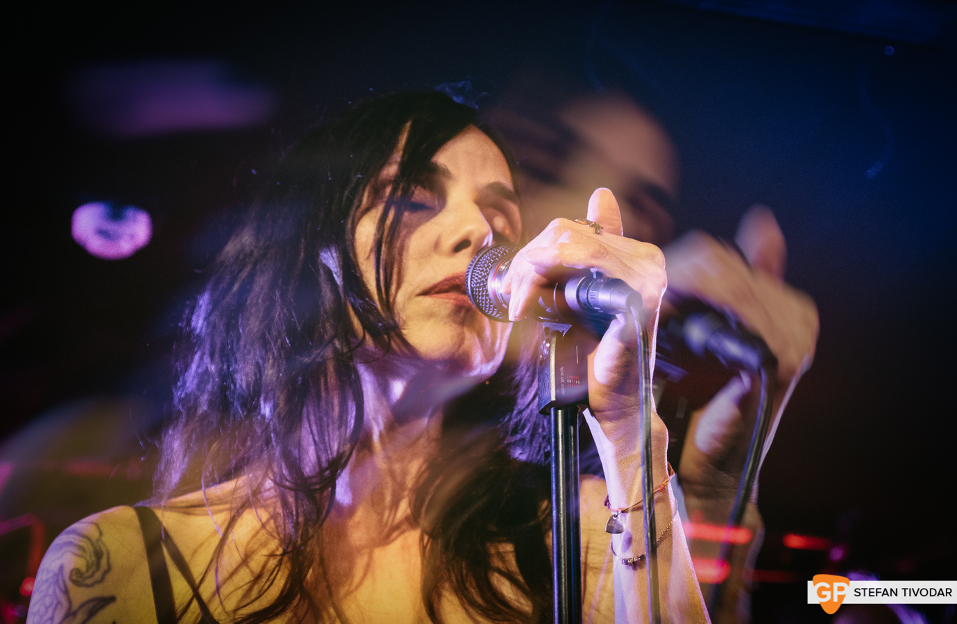 Unloved Whelans May 2019 Tivodar 2