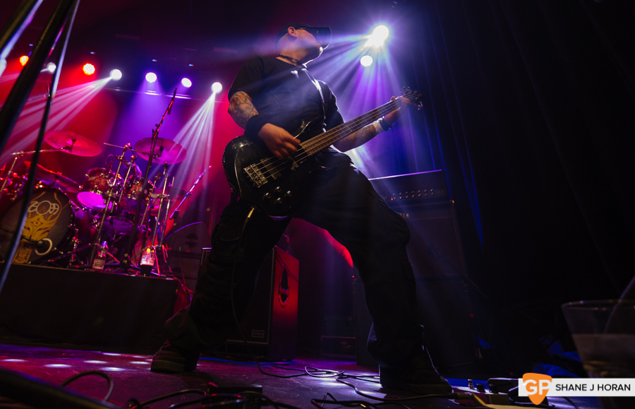 Bisect, Cyprus Avenue, 15-6-19 Shane J Horan-3