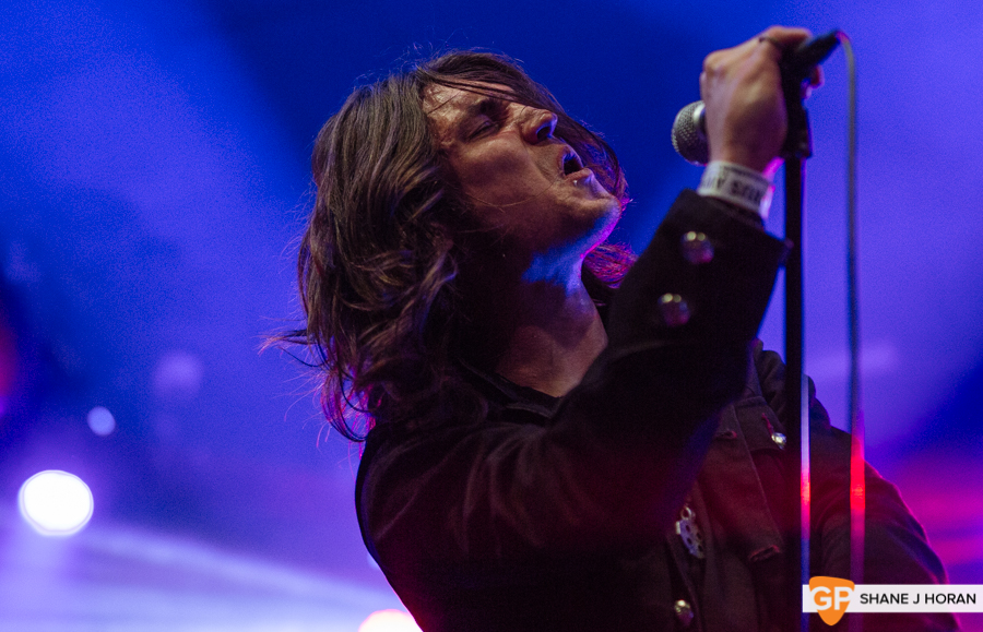 Elder Druid, Cyprus Avenue, 15-6-19 Shane J Horan-2