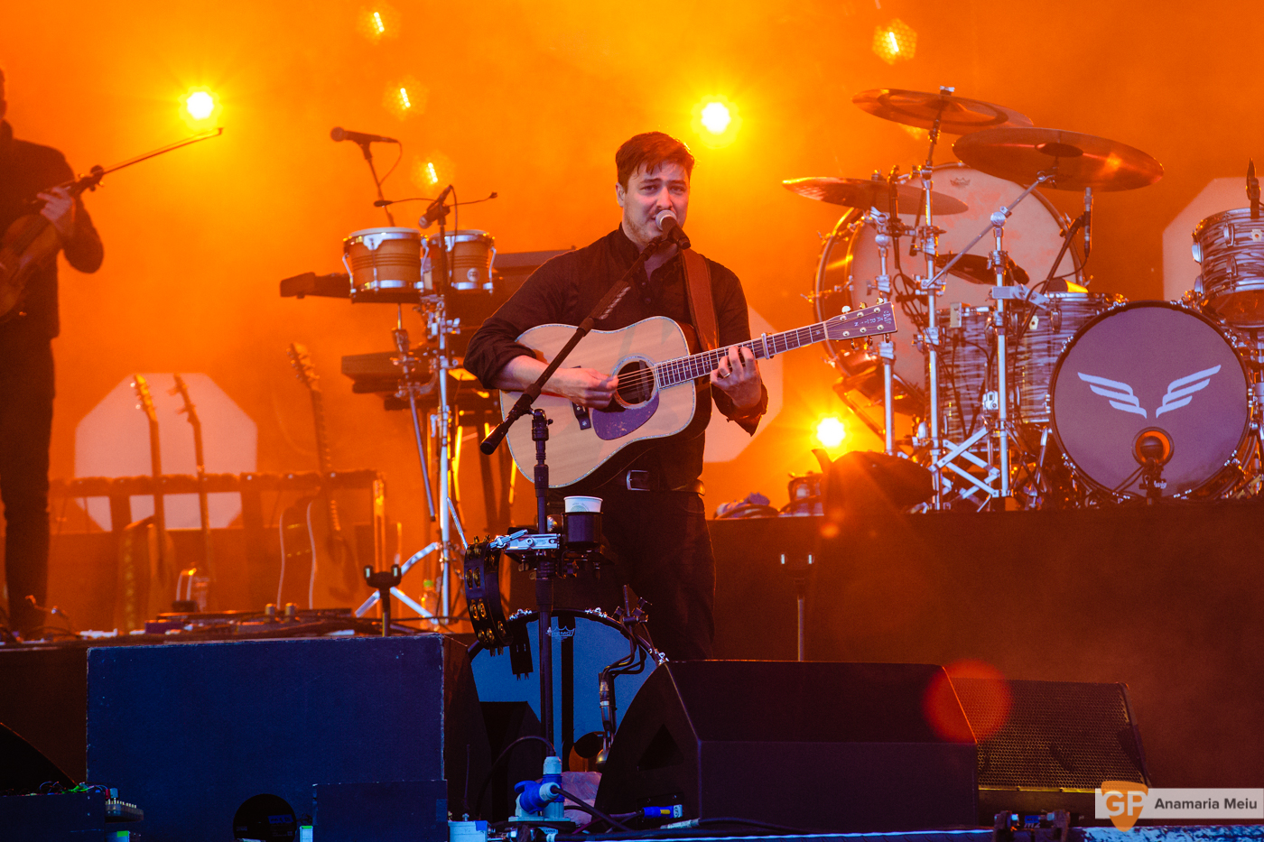 Mumford and Sons at Malahide Castle by Anamaria Meiu