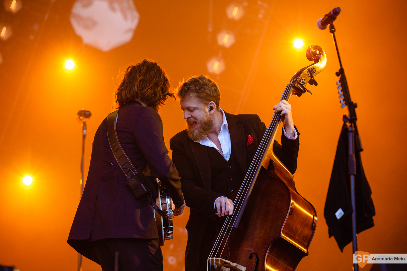 Mumford and Sons at Malahide Castle by Anamaria Meiu
