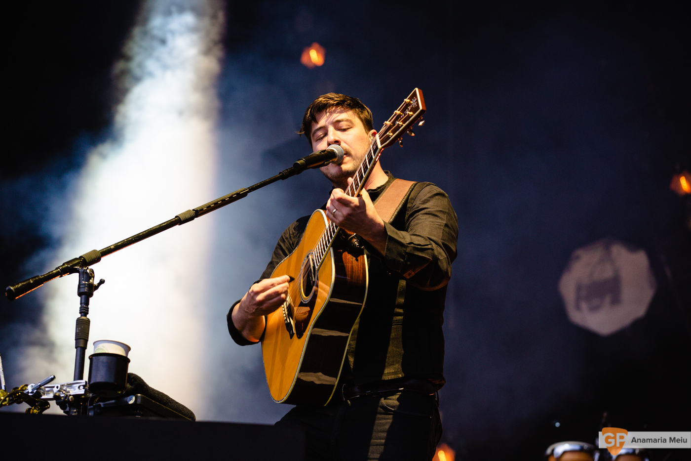 Mumford and Sons at Malahide Castle by Anamaria Meiu