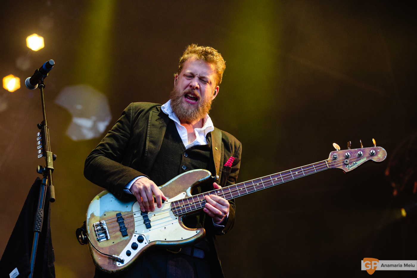 Mumford and Sons at Malahide Castle by Anamaria Meiu